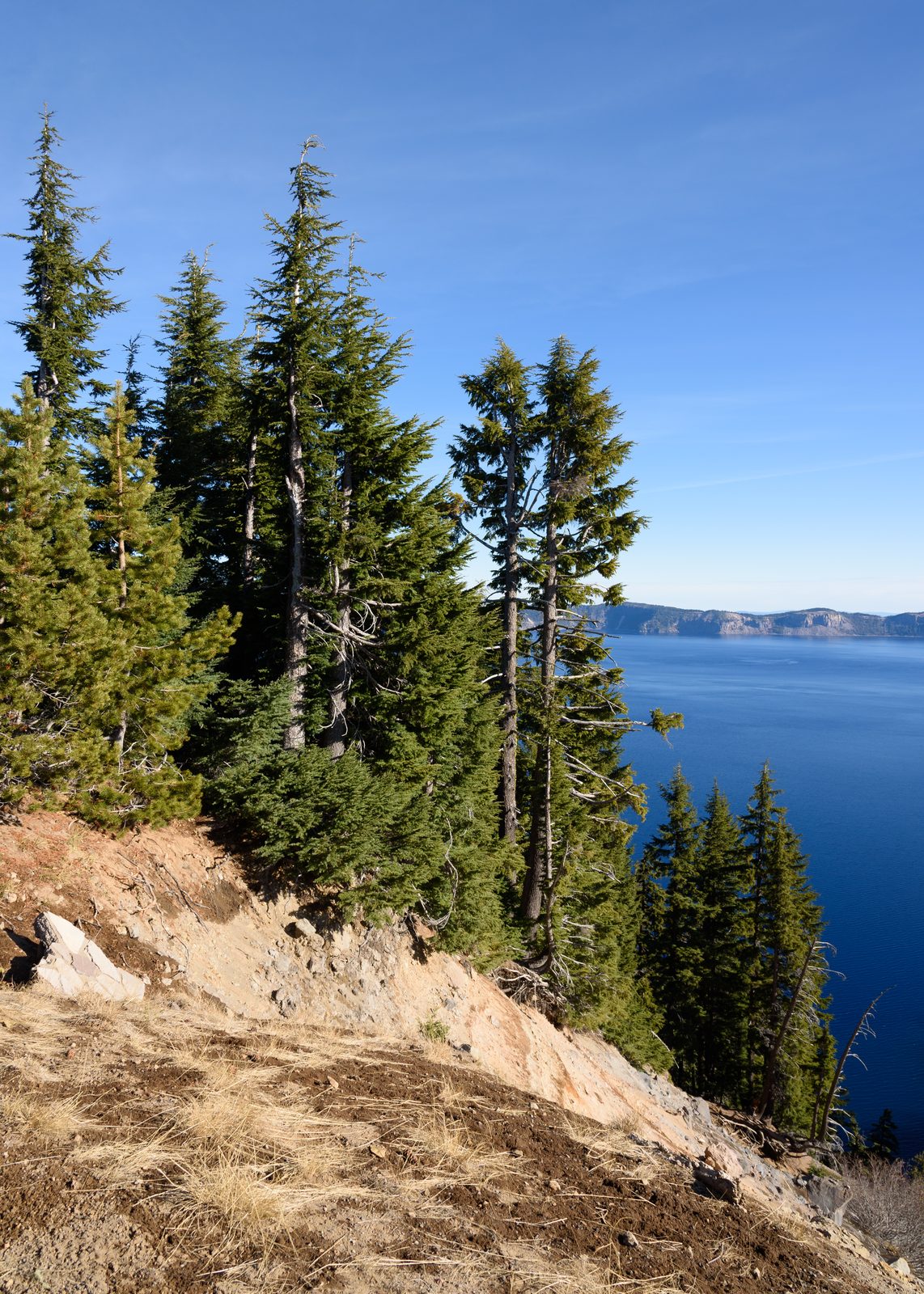 Crater Lake's deep blue caldera water in Oregon, seen from the rim with steep volcanic walls surrounding it