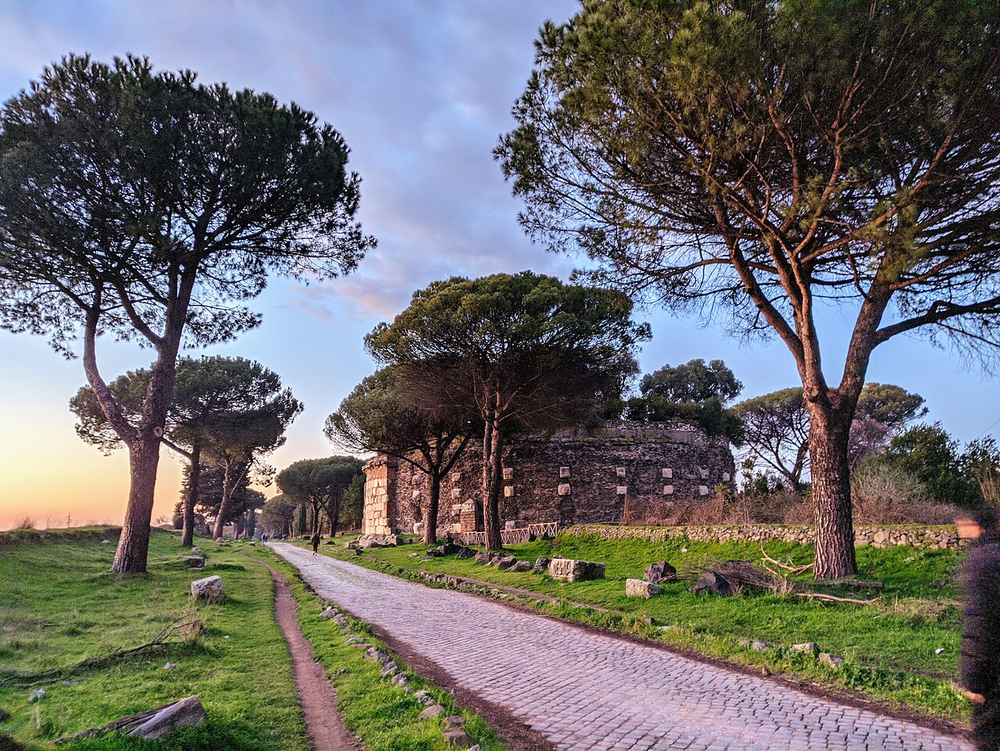 Wikipedia's Appian Way article showing a photo of the ancient Roman road lined with umbrella pines in Rome's Regional Park, with an infobox noting its July 2024 UNESCO World Heritage listing