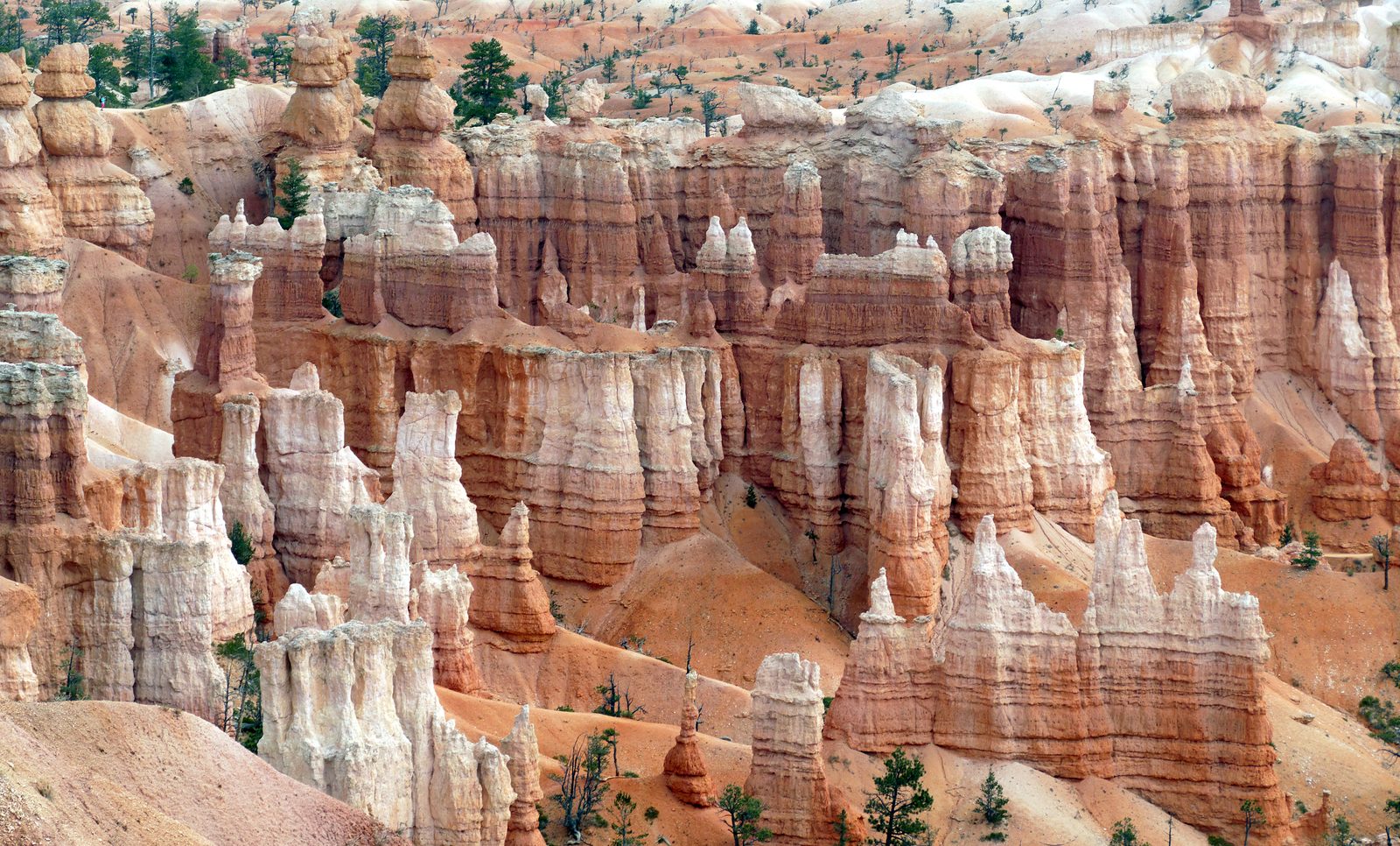 Hoodoos in the Bryce Amphitheater at Bryce Canyon National Park, Utah, showing rows of orange and white spire-shaped rock formations